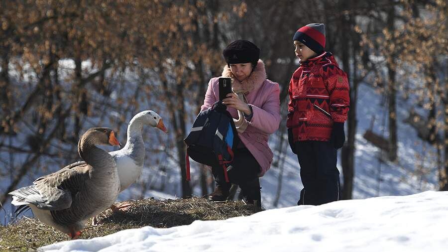    Фото: Global Look Press/Komsomolskaya Pravda