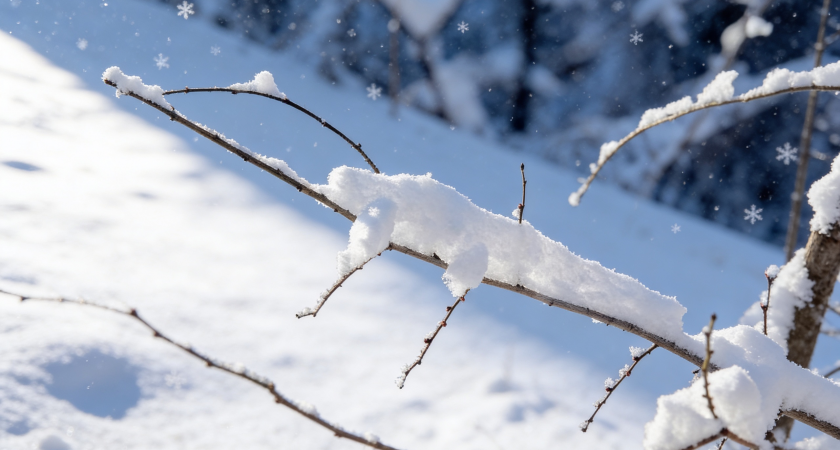    Фото youtvnews.com