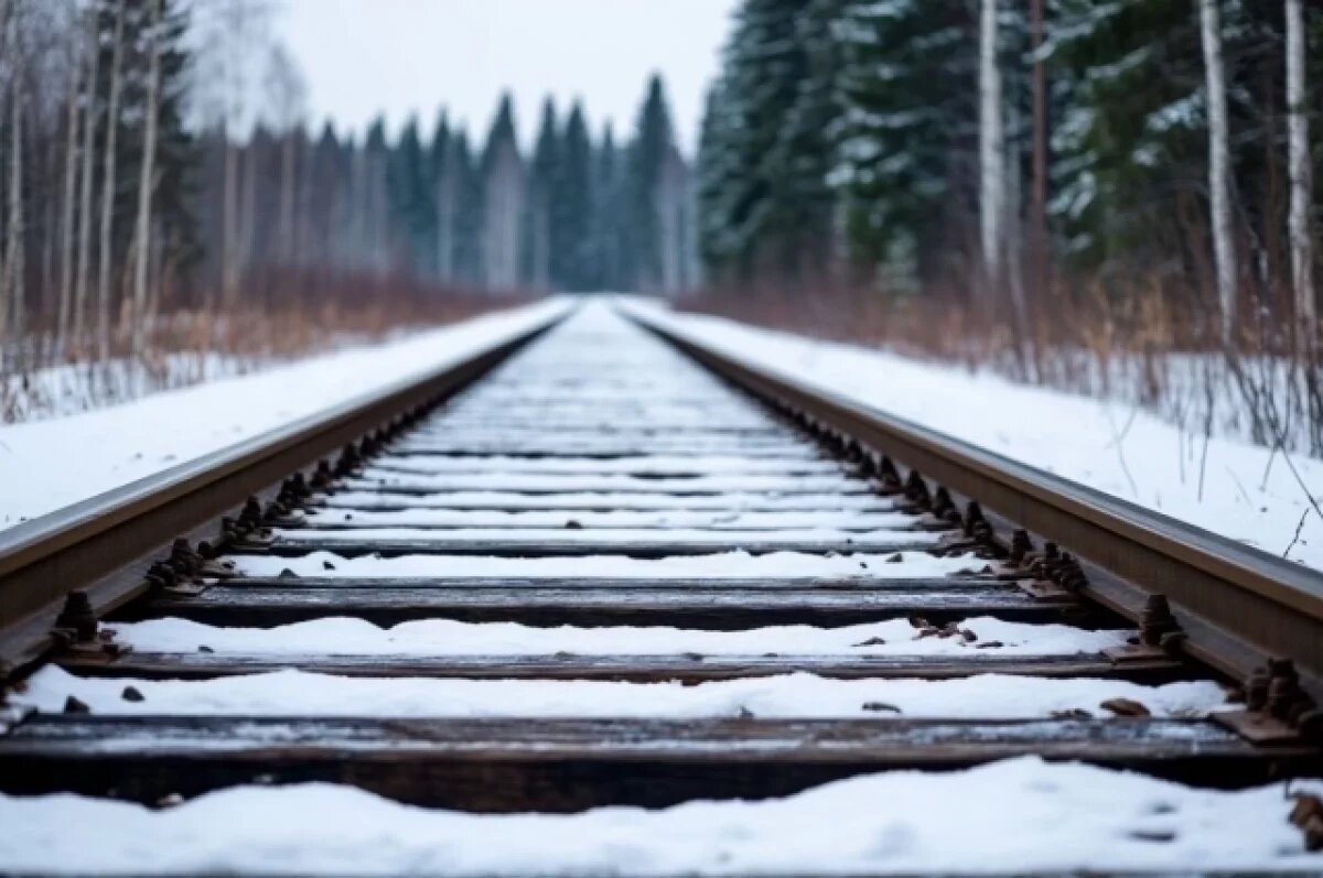    В Хабаровском крае сошли с рельсов вагоны с углём, возбуждено дело