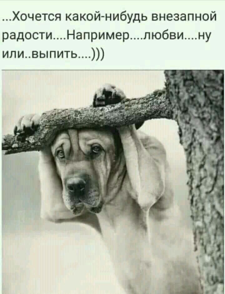 Картинка с просторов интернета. 