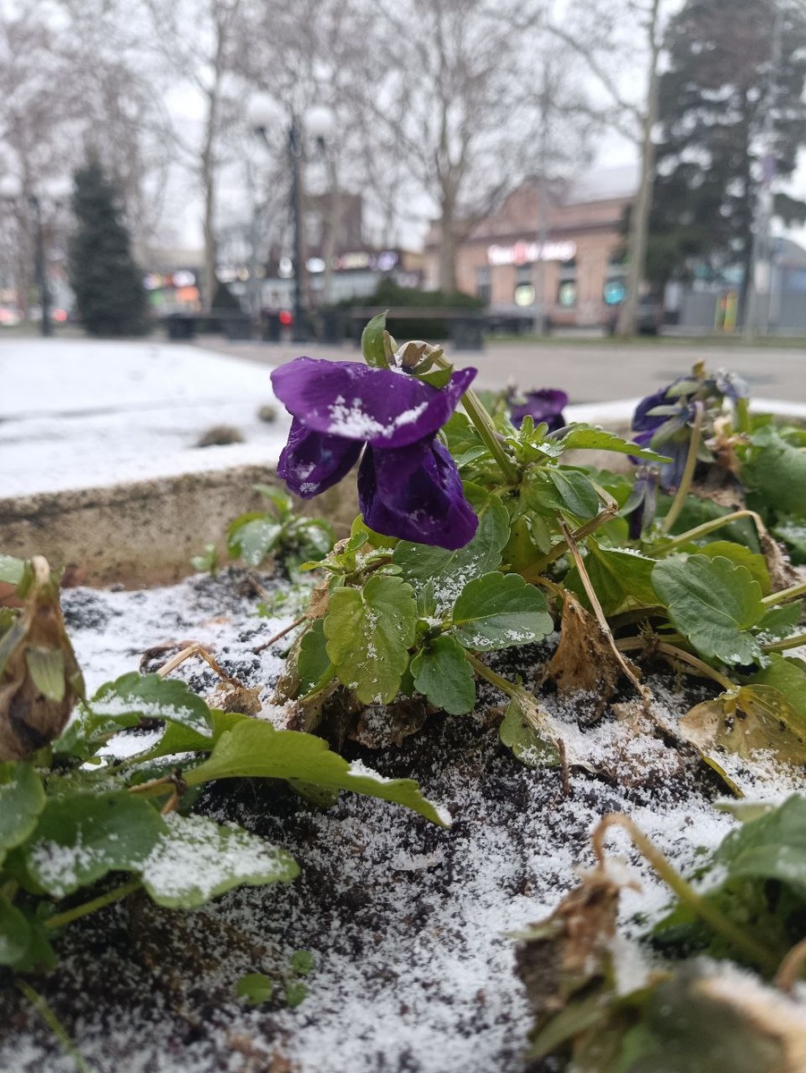 Женина фотка. Кореновск, 9 февраля