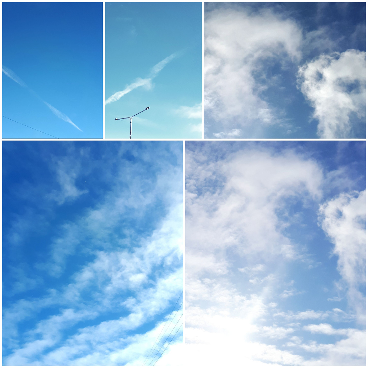 Коллаж автора 09.02.2026г.