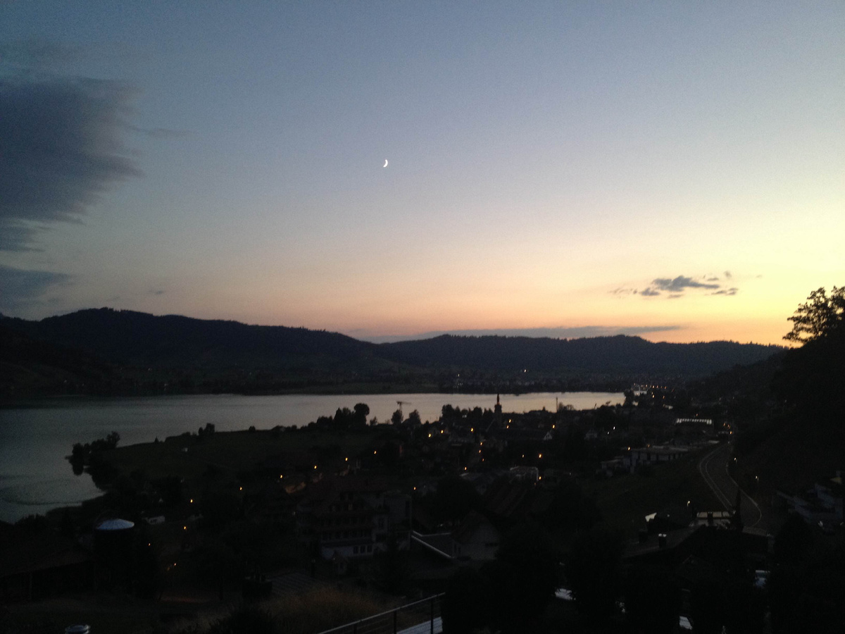 Какая жалость