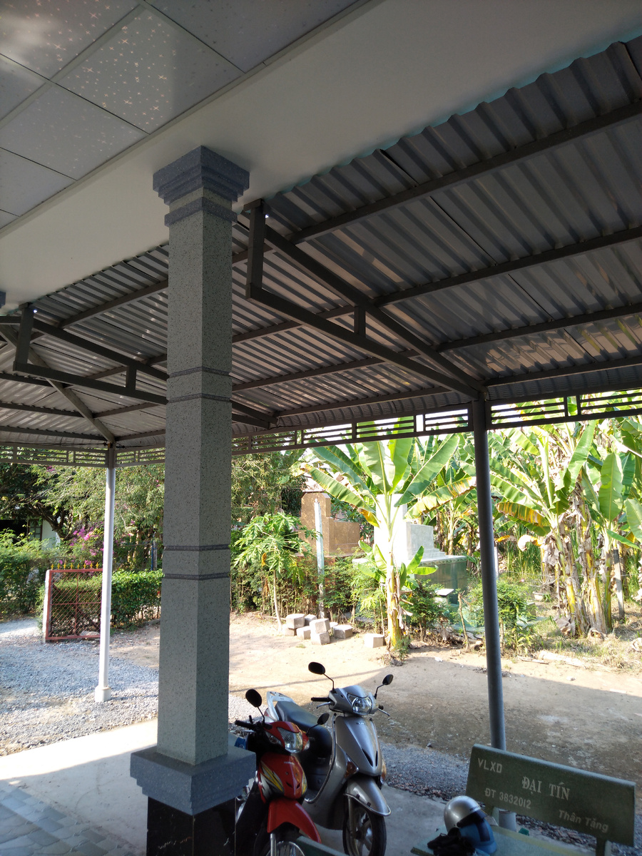 Фотографии восемь лет. К нам заселились банан и папайя.