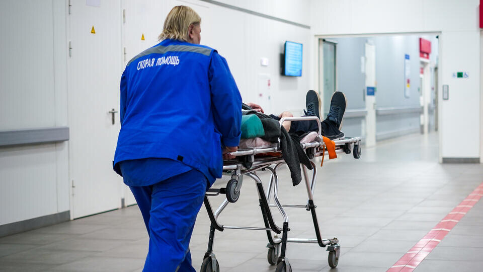     Мужчина наелся мухоморов и упал с балкона в Московской области ИЗВЕСТИЯ/Сергей Лантюхов