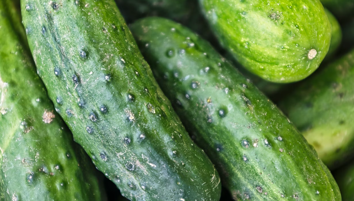     Eric Prouzet/Unsplash