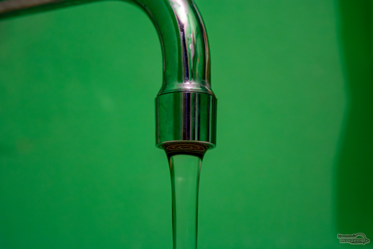    Фото: Галина Ниценкова © ИА «Уральский меридиан»