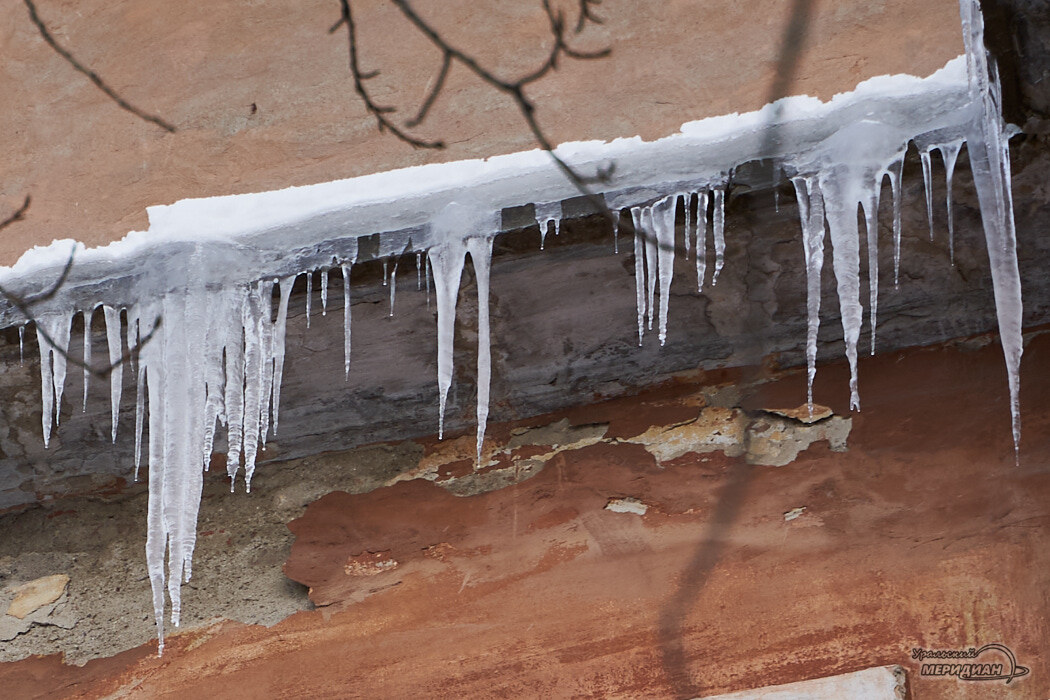    Фото Лидия Аникина © ИА «Уральский меридиан»