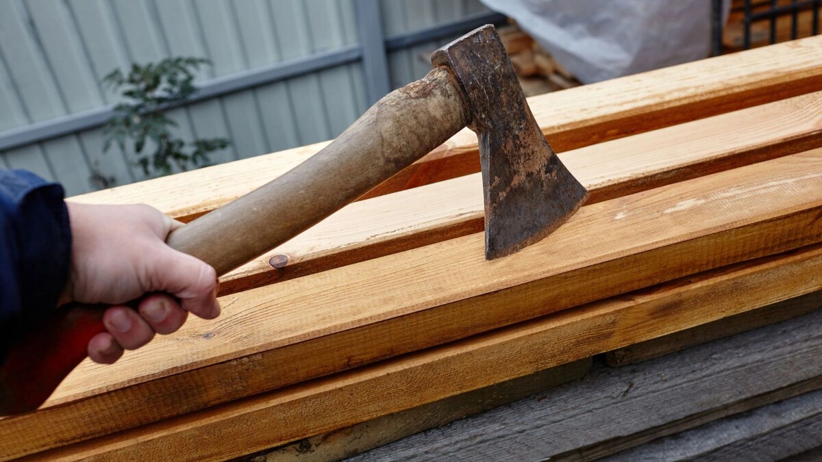    Фото: Andrii Salomatin/Shutterstock/Fotodom