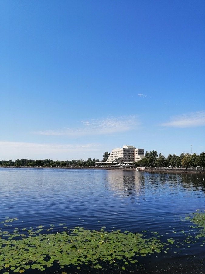 Четыре года назад я побывала в Выборге. 