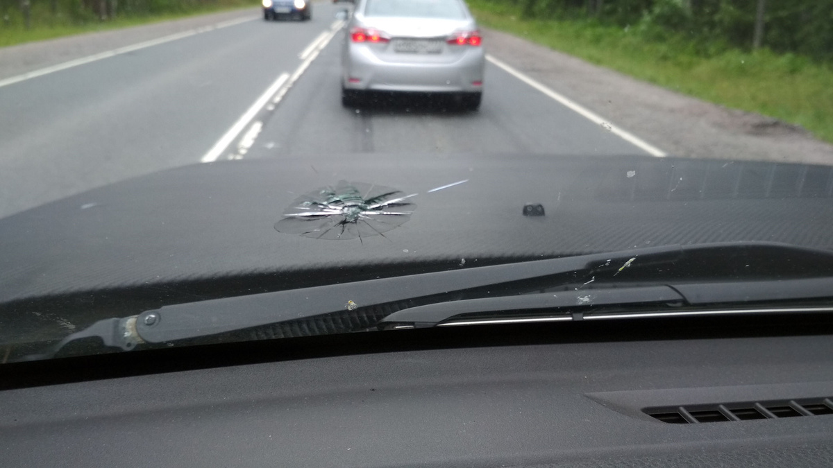 Фото из открытых источников 