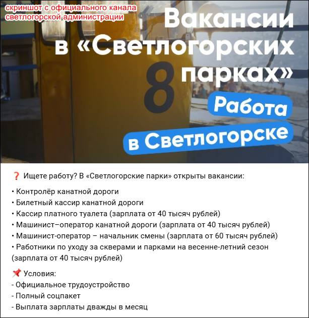 Скриншот с официального канала светлогорской администрации