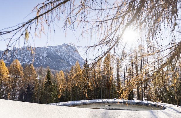    Фото: Ryan Pierse / Getty Images