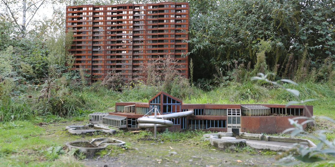 ДЕТЁНЫШИ МНОГОЭТАЖЕК В ЕСТЕСТВЕННОЙ СРЕДЕ ОБИТАНИЯ