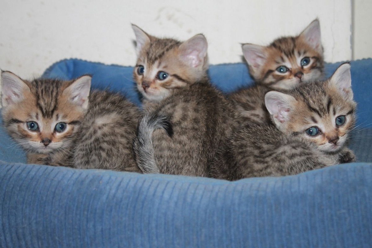 Это мы ещё не все на общем фото уместились.