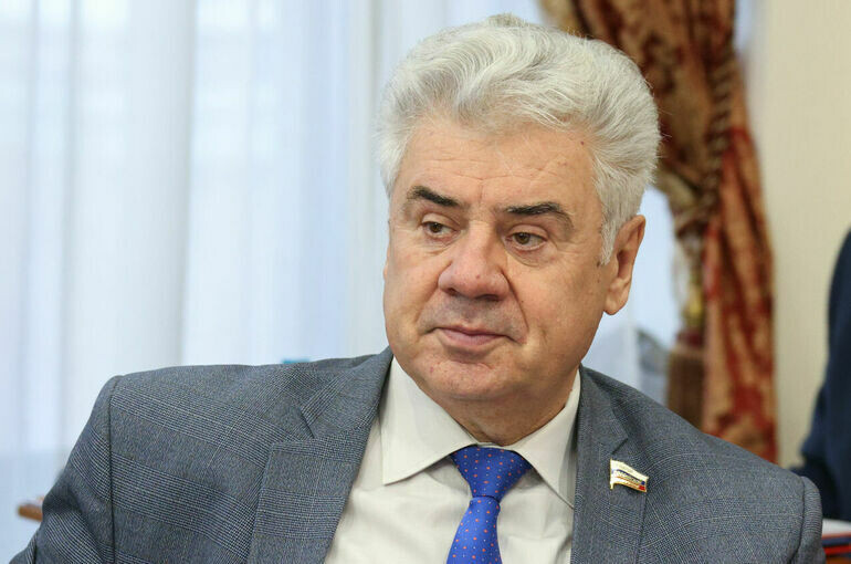   Денис Вышинский/Пресс-служба Совета Федерации