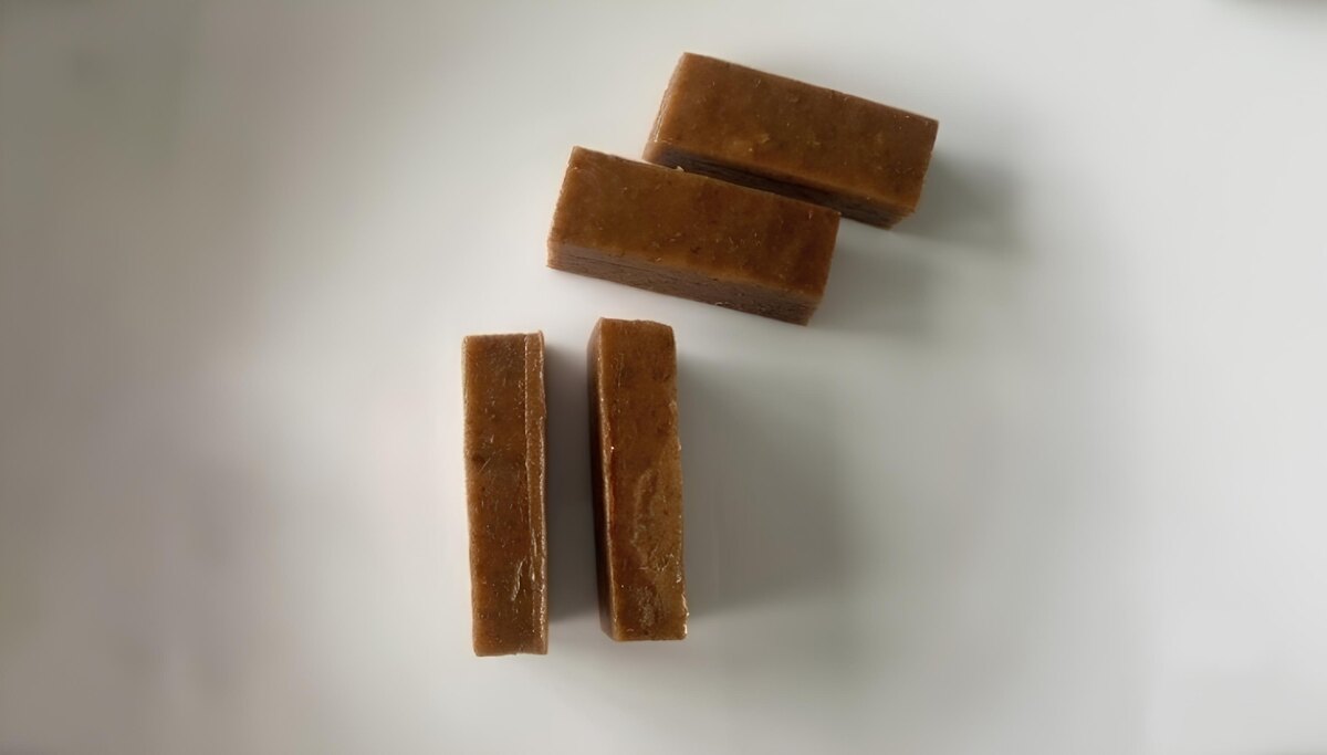    фото: © пресс-служба СФУ