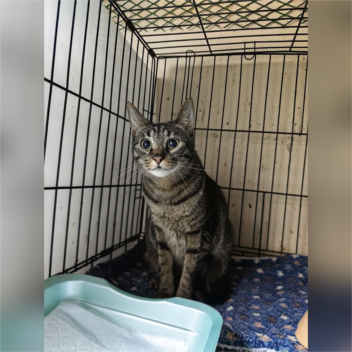 Спринтер приехал с передержки. 