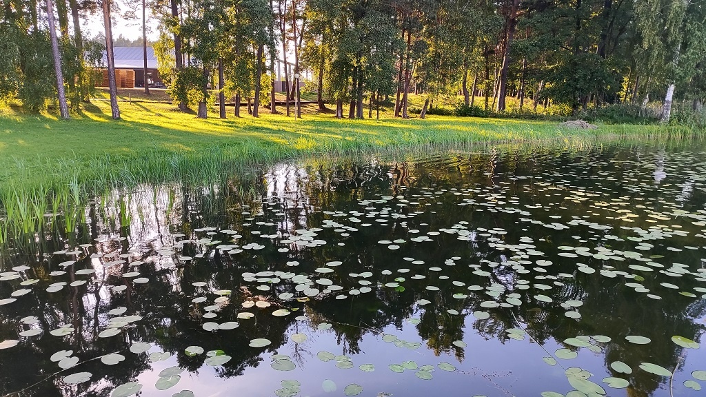 Беларусь. Фото автора