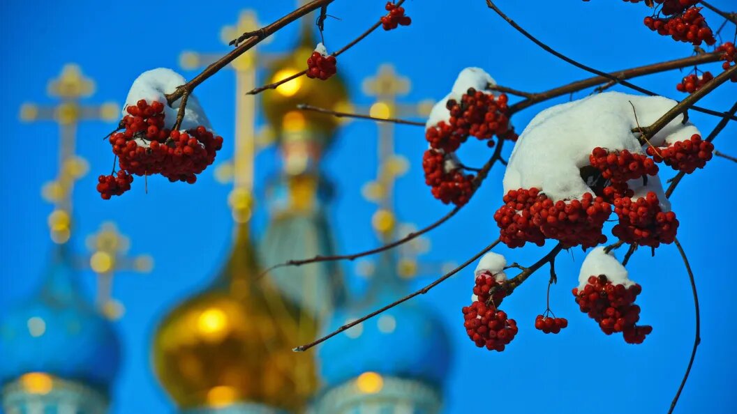    Олег Рукавицын