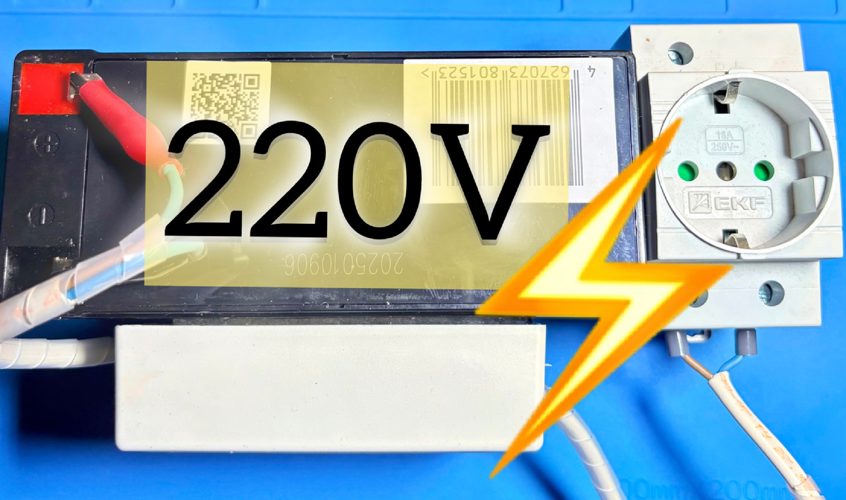 Фото автора.