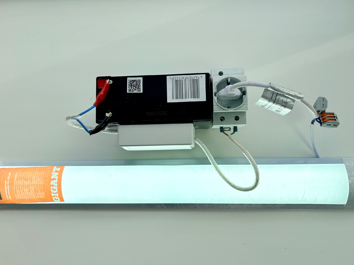 Подключена лампа на 220 Вольт. Фото автора.