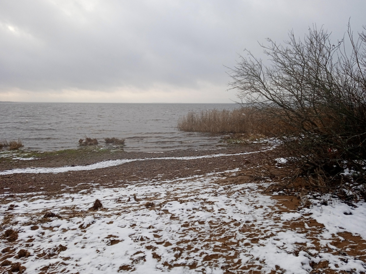 21.11.2025. Сестрорецк, Петербург. Фотографии авторские.