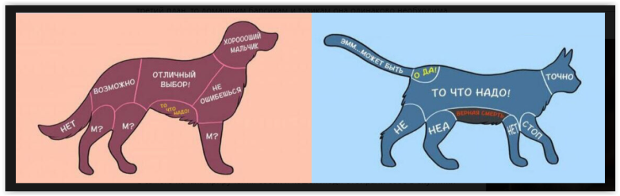 Где можно гладить....