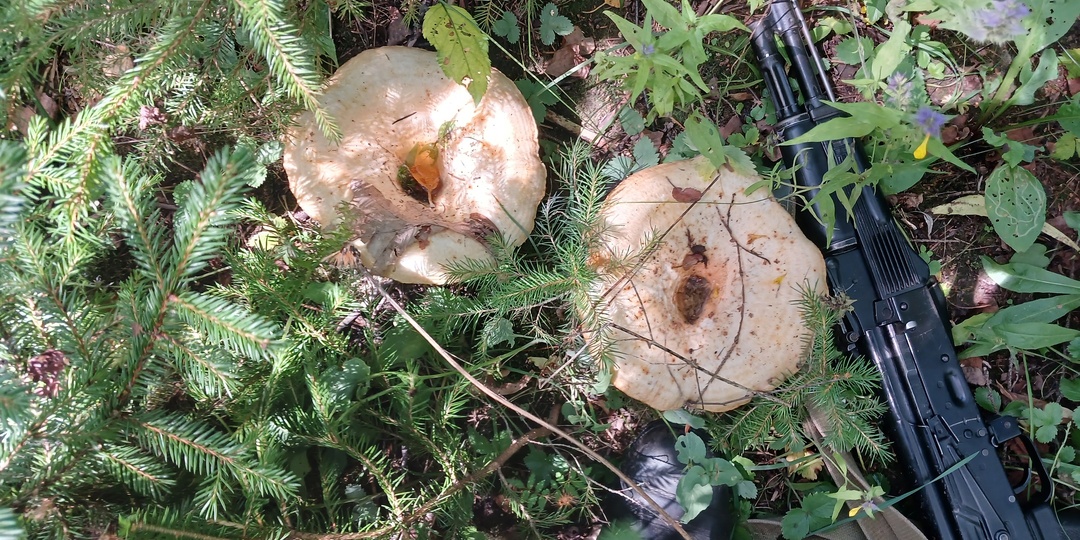 Топография по-курсантски: Блуждания, водка и секретные карты...