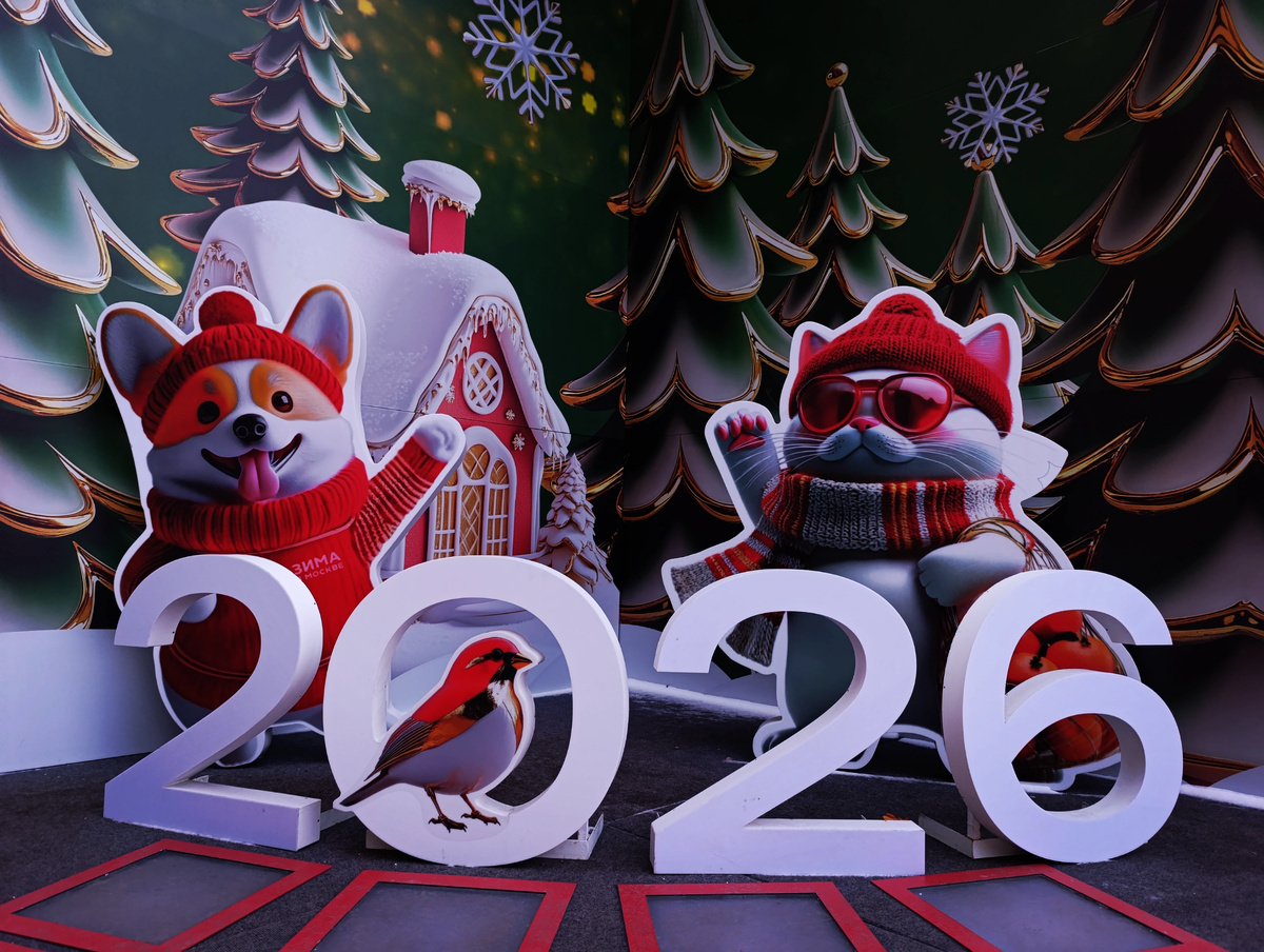 личное фото
