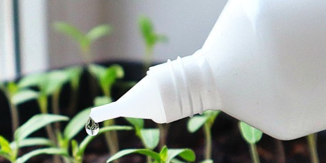 Купил за 17 рублей, полил, и рассада перцев, томатов и цветов сразу попёрла в росте. Лучшая подкормка для рассады