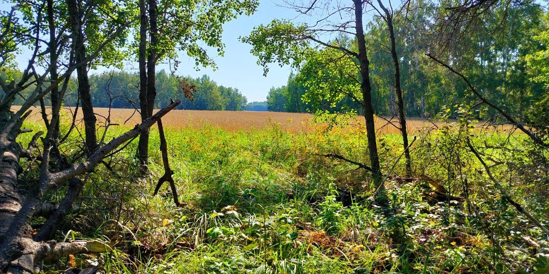 Павел. Род...
