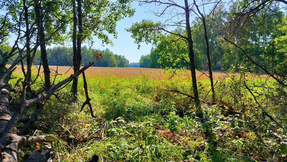 Фото Павла. 
