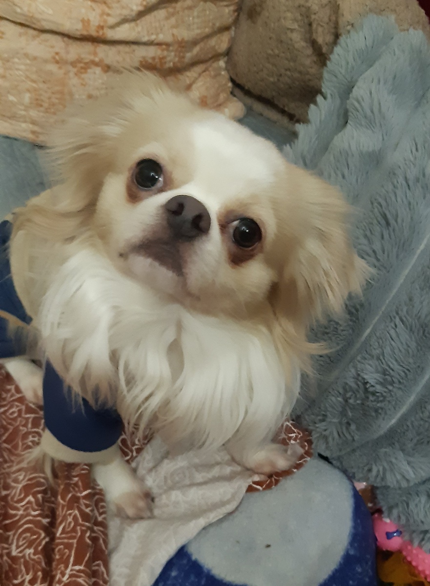 Дайте что вы там кушаете без меня!