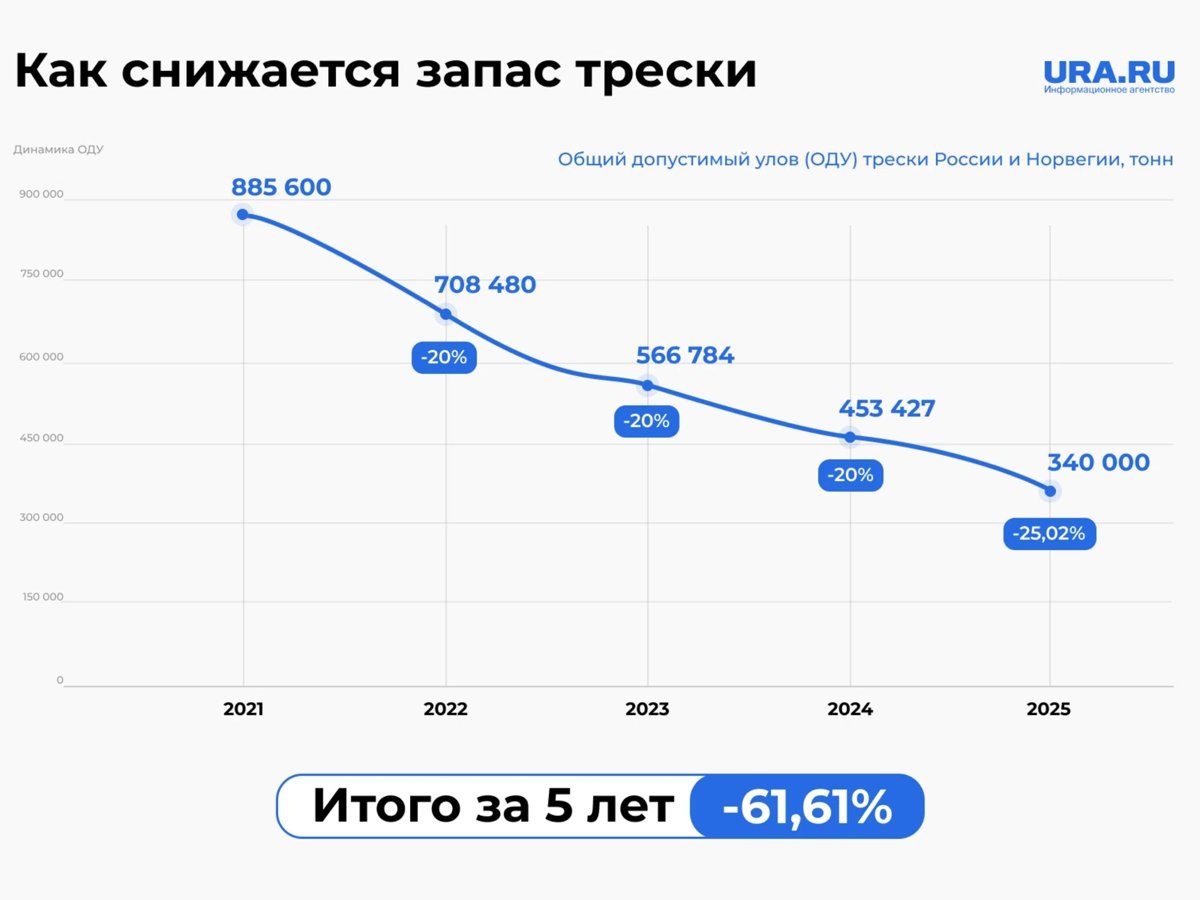  Запас трески резко сократился