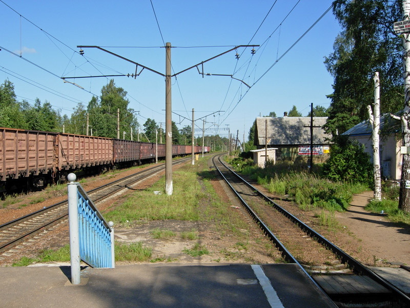 Орехово. Вид с пассажирской платформы в сторону Сосново. Фото: Д. Верёвкин, 14.08.2012 г.