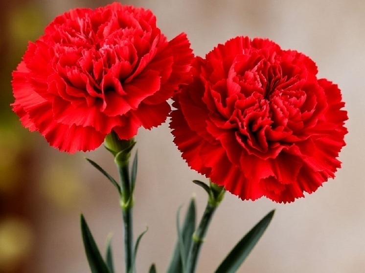     Фото: Шедеврум