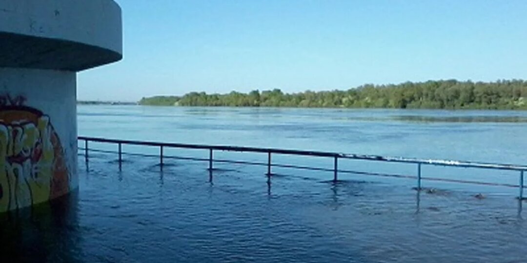 В реке Иртыш вблизи Омска вновь обнаружили высокое загрязнение ртутью