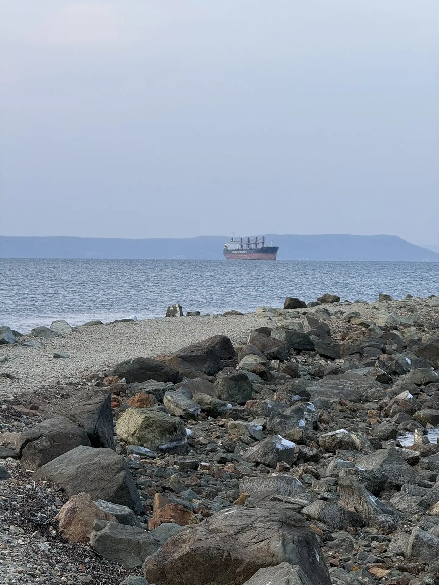 Амурский залив