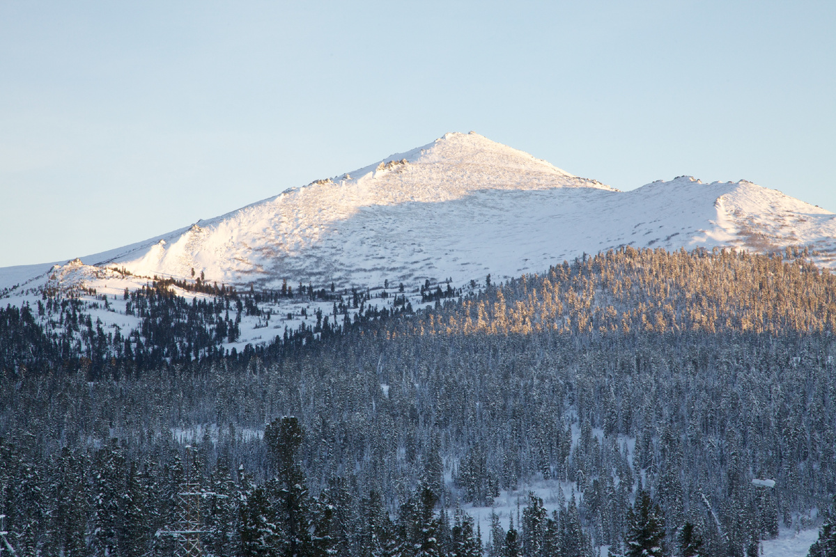 Теплая интонация способна растопить даже лед. 