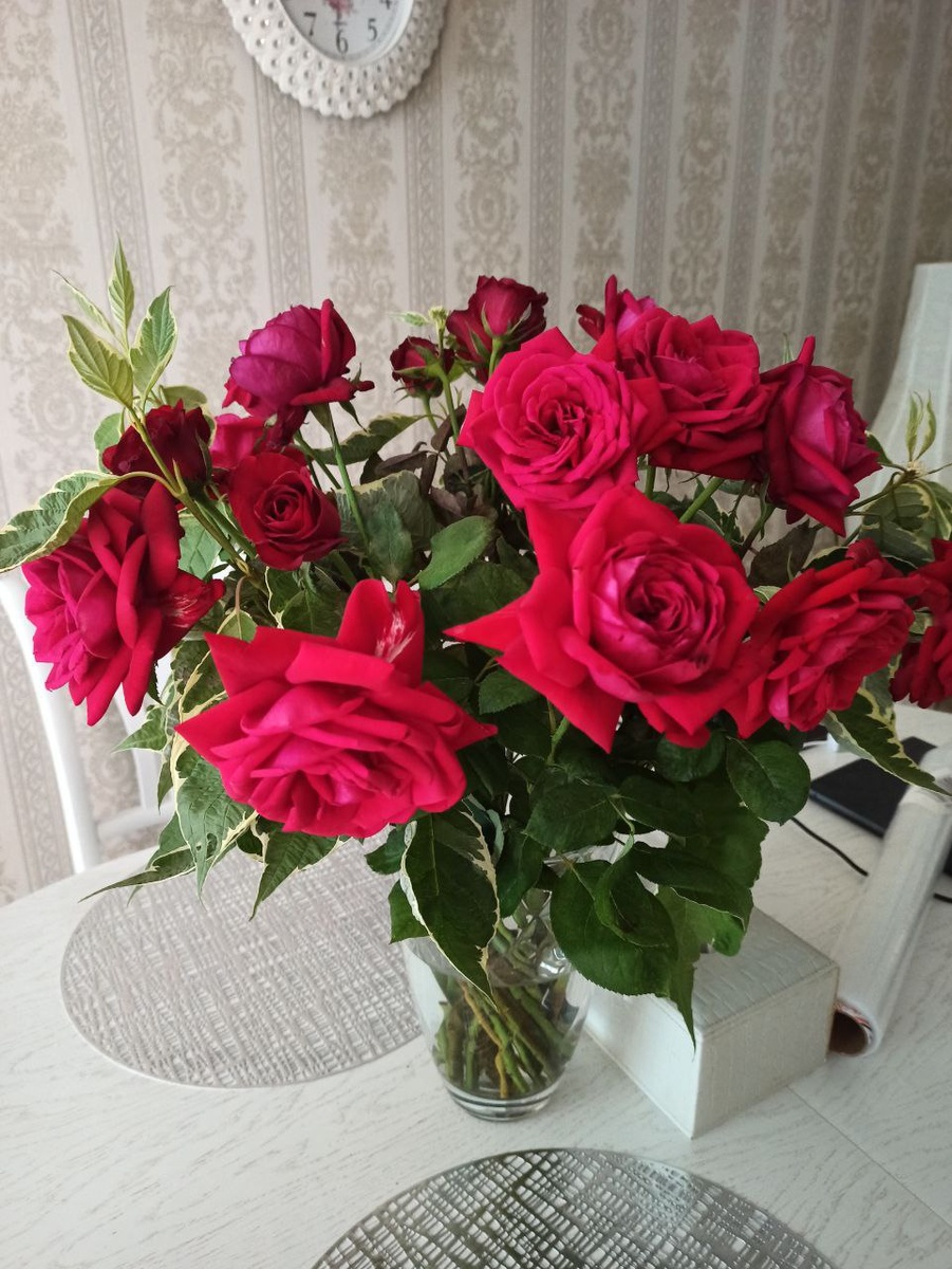 Моё лето 2023 года