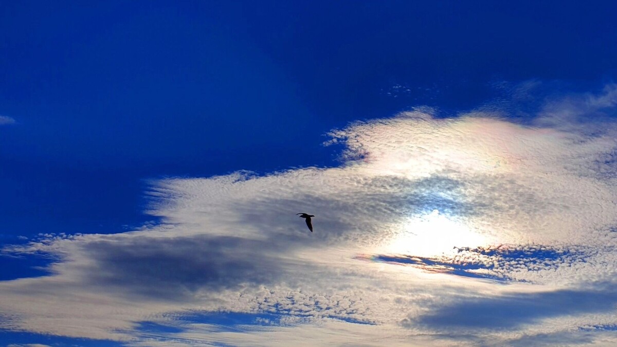    В Ростовской области за сутки потеплеет на 28 градусов   1MI