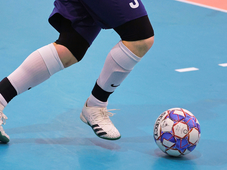     Фото: Андрей Ткачев/«Ямал-Медиа»