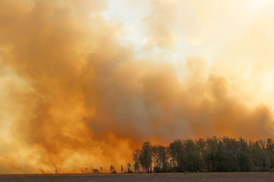    Фото из архива ngt54.ru