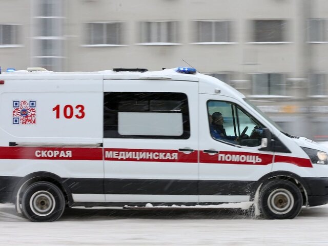    Фото: Агентство "Москва"/Сергей Ведяшкин