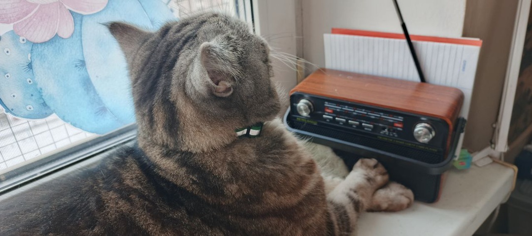 Ну и что там, в Мире, происходит