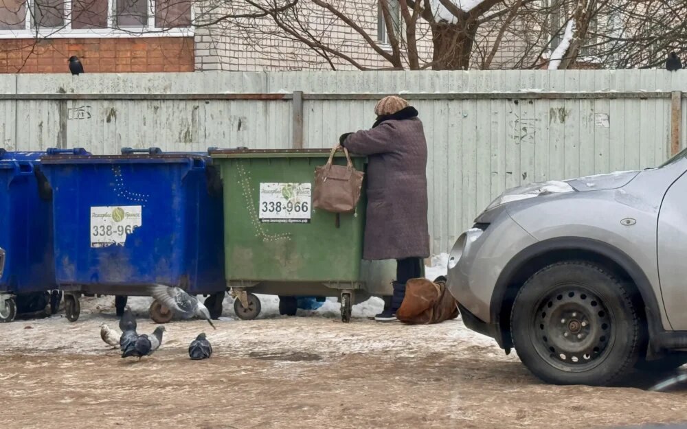   Фото: "Брянские новости"