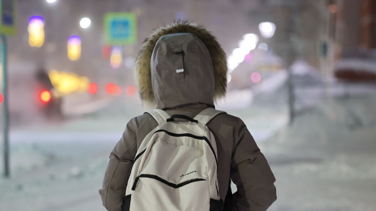    Фото: Андрей Ткачев / «Ямал-Медиа»