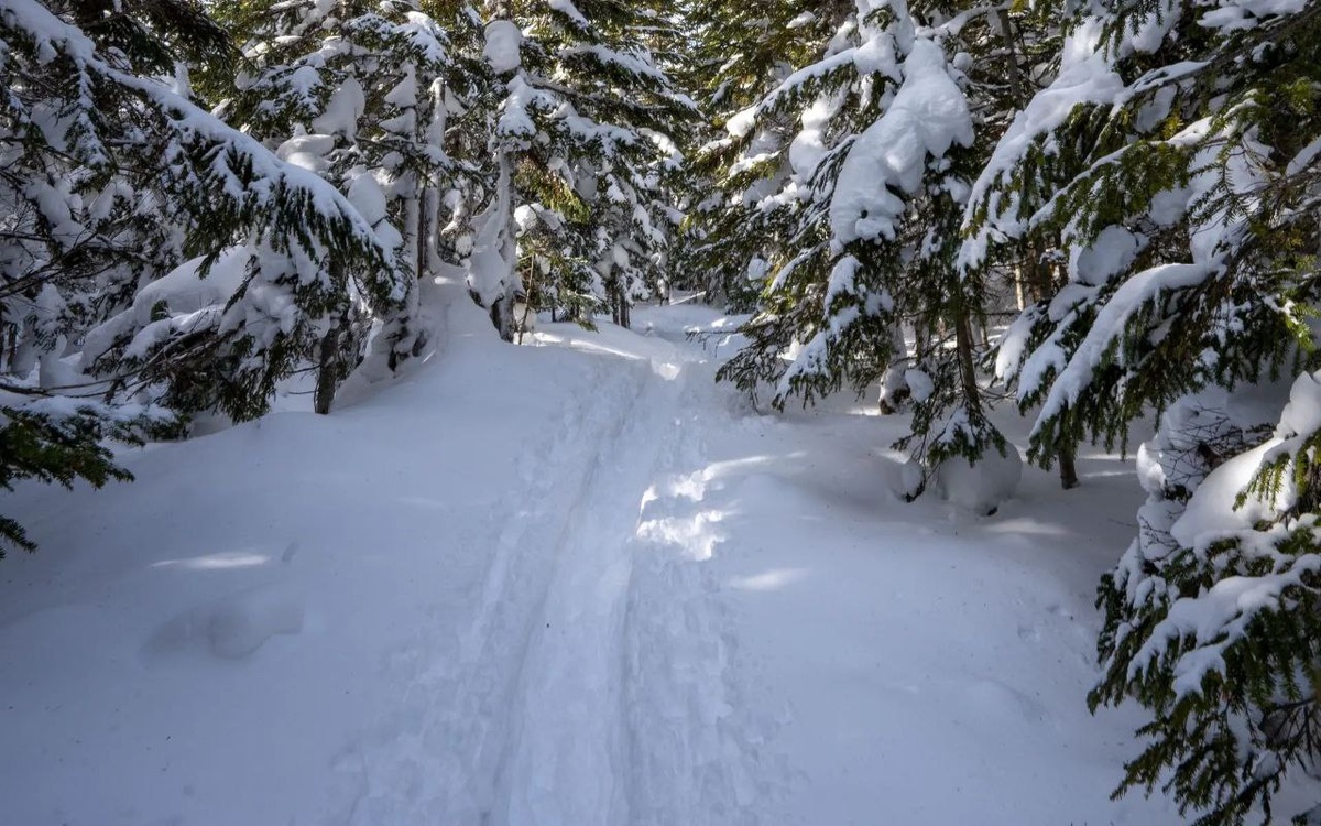    Три человека потерялись в Башкирии за сутки