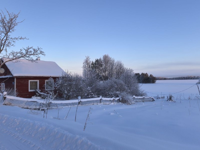   фото: © Ева Экова/Столица на Онего